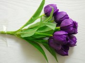 тюльпан оберемок