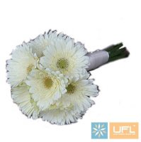 букет з білих Гербер