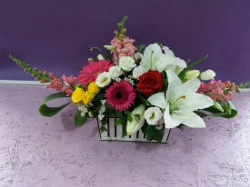 Композиція 051