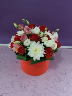 Композиція 006