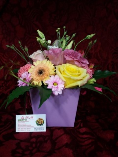 Композиція 101