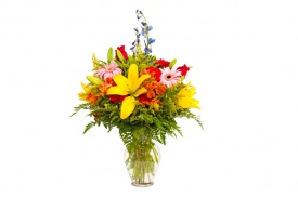 композиція 017