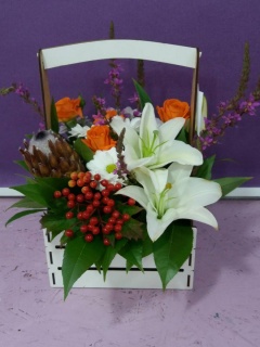 Композиція 048