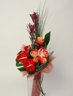 композиція 014