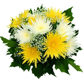 Хризантеми