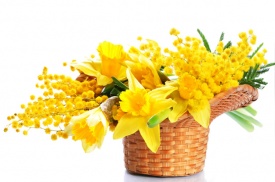 композиція 003