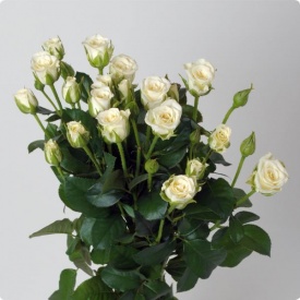 Сноу Флейк спрей