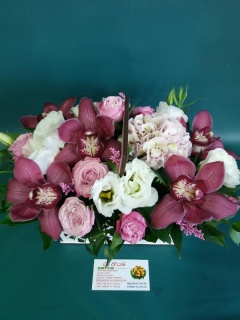 Композиція 081