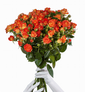 Фієста баблз спрей