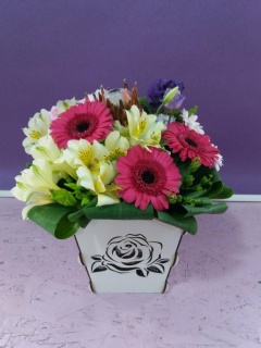 Композиція 039