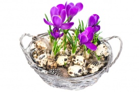 композиція 012