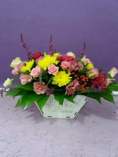 Композиція 049