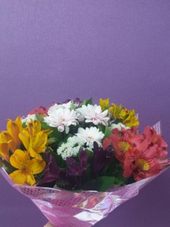 Композиція 00537