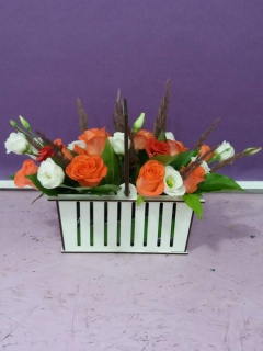 Композиція 029