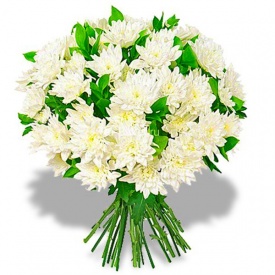 Хризантеми