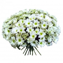 Хризантеми